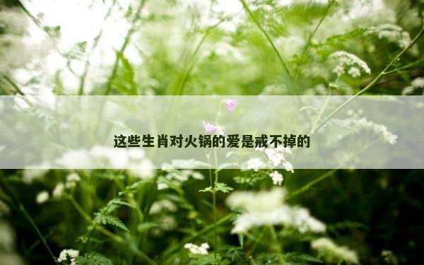 这些生肖对火锅的爱是戒不掉的
