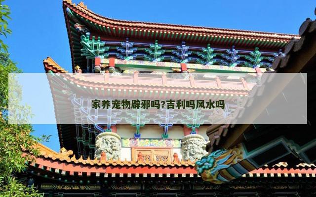 家养宠物辟邪吗?吉利吗风水吗