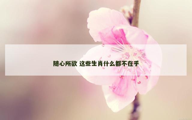 随心所欲 这些生肖什么都不在乎
