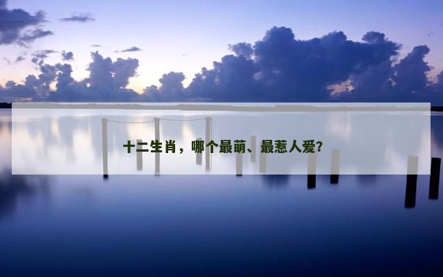 十二生肖，哪个最萌、最惹人爱？