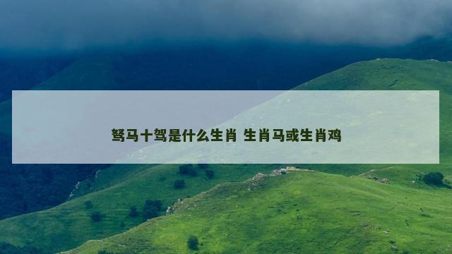 驽马十驾是什么生肖 生肖马或生肖鸡