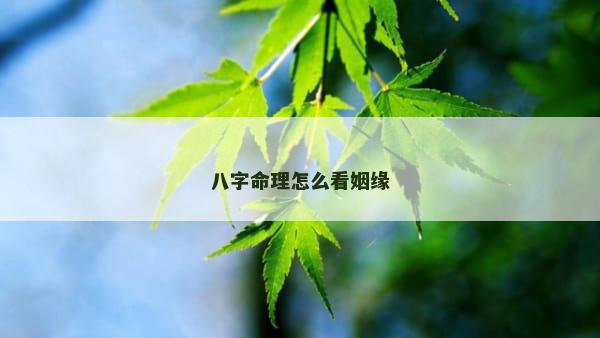 八字命理怎么看姻缘