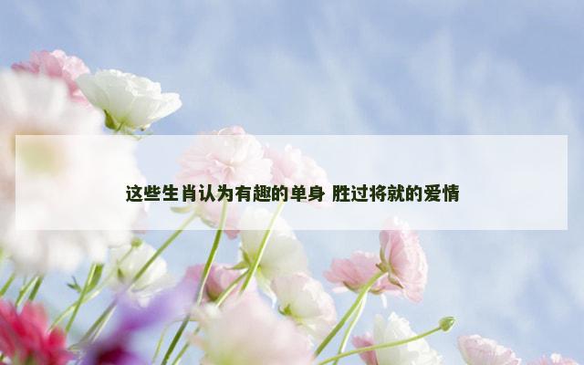 这些生肖认为有趣的单身 胜过将就的爱情