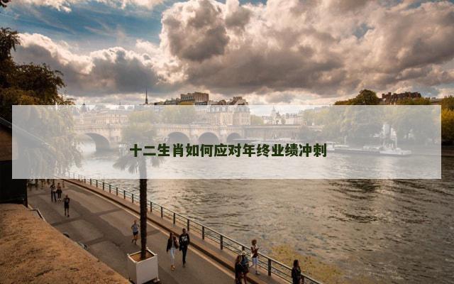 十二生肖如何应对年终业绩冲刺
