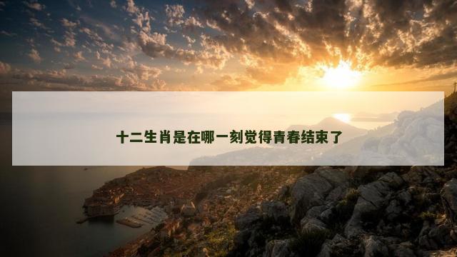 十二生肖是在哪一刻觉得青春结束了