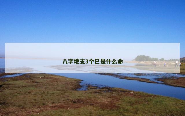 八字地支3个巳是什么命