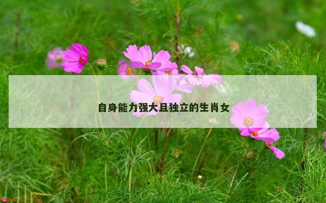 自身能力强大且独立的生肖女