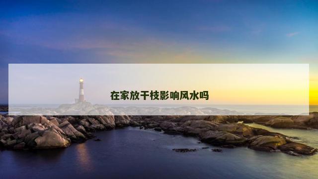 在家放干枝影响风水吗