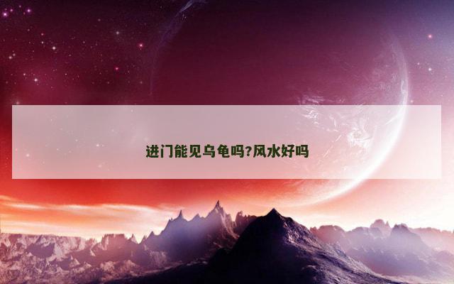 进门能见乌龟吗?风水好吗