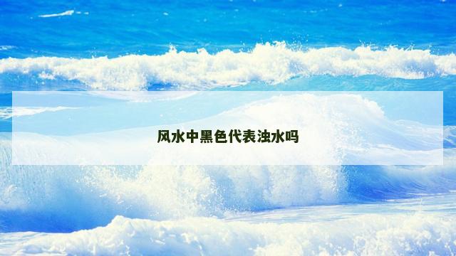 风水中黑色代表浊水吗