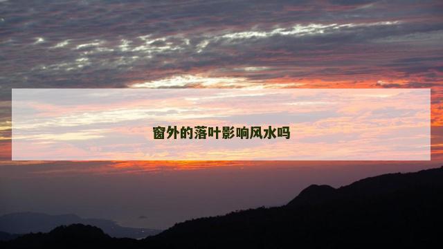 窗外的落叶影响风水吗