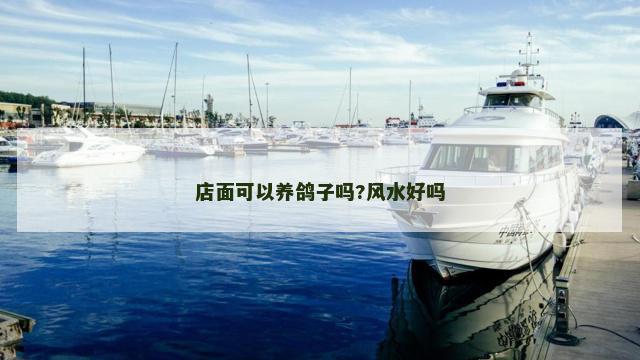 店面可以养鸽子吗?风水好吗