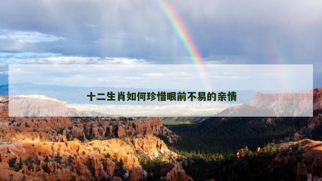 十二生肖如何珍惜眼前不易的亲情