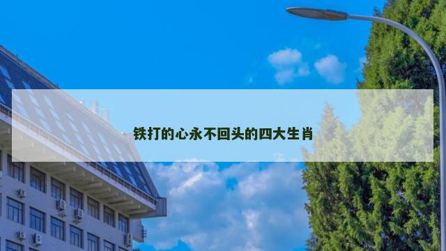 铁打的心永不回头的四大生肖