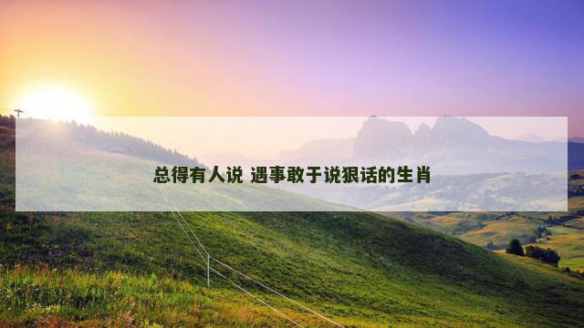 总得有人说 遇事敢于说狠话的生肖
