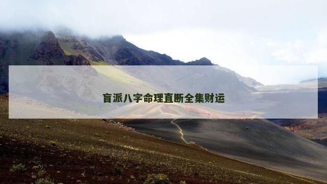 盲派八字命理直断全集财运