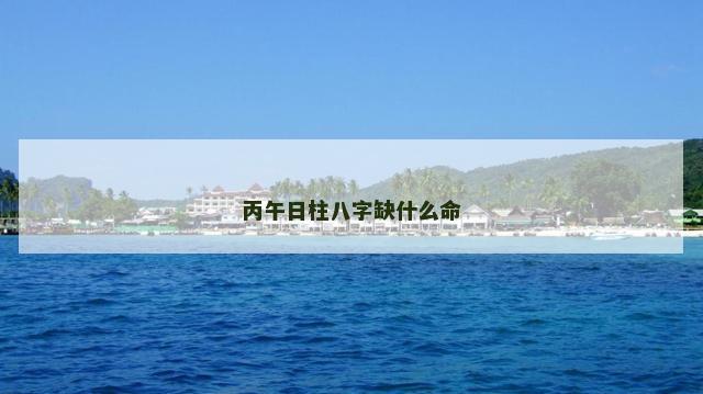 丙午日柱八字缺什么命
