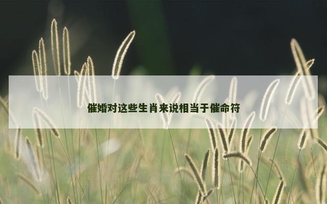 催婚对这些生肖来说相当于催命符