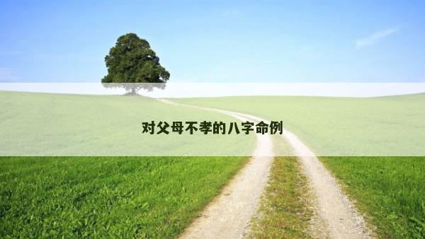 对父母不孝的八字命例