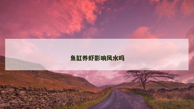 鱼缸养虾影响风水吗