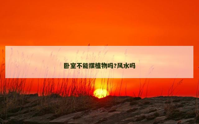 卧室不能摆植物吗?风水吗