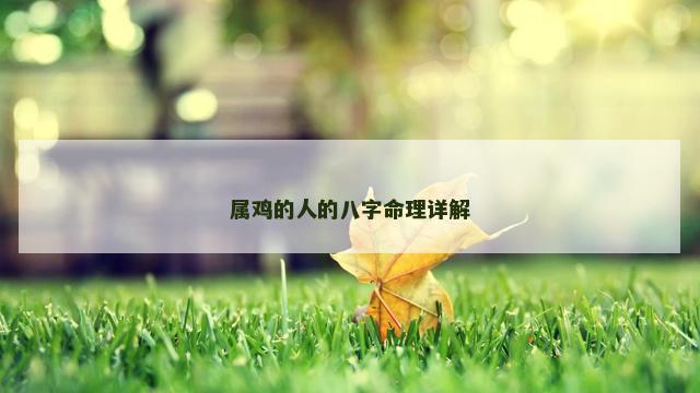 属鸡的人的八字命理详解