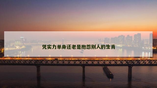 凭实力单身还老是抱怨别人的生肖