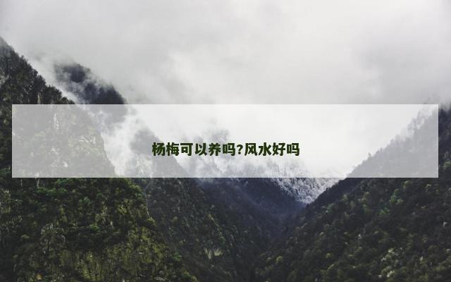 杨梅可以养吗?风水好吗