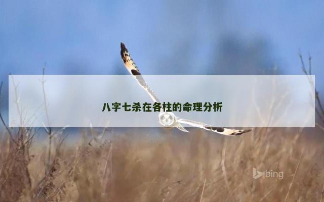 八字七杀在各柱的命理分析