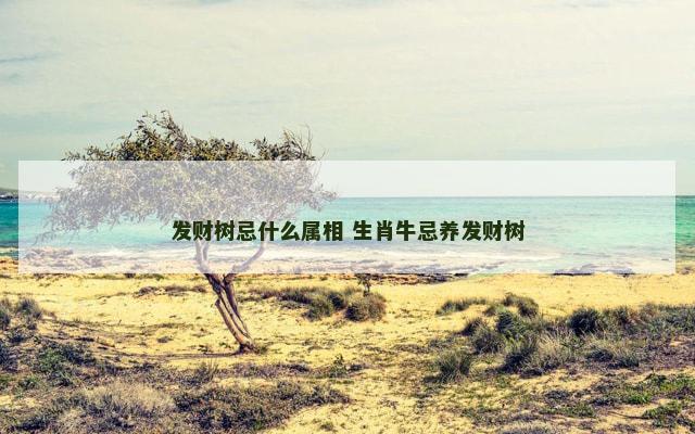 发财树忌什么属相 生肖牛忌养发财树