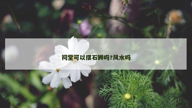 祠堂可以摆石狮吗?风水吗