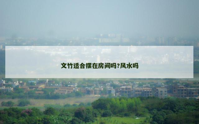 文竹适合摆在房间吗?风水吗