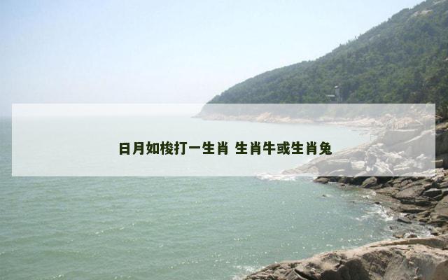 日月如梭打一生肖 生肖牛或生肖兔