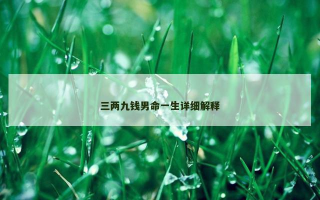 三两九钱男命一生详细解释