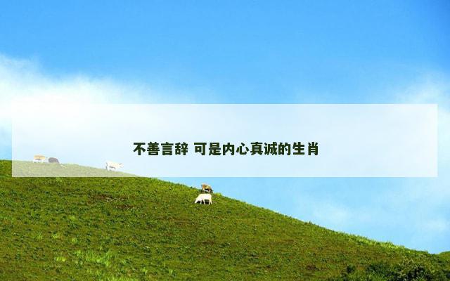 不善言辞 可是内心真诚的生肖