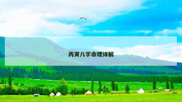 丙寅八字命理详解
