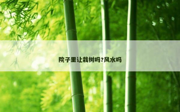 院子里让栽树吗?风水吗