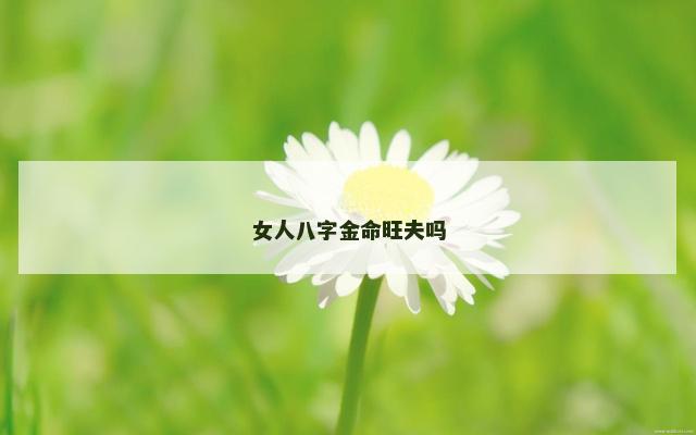女人八字金命旺夫吗
