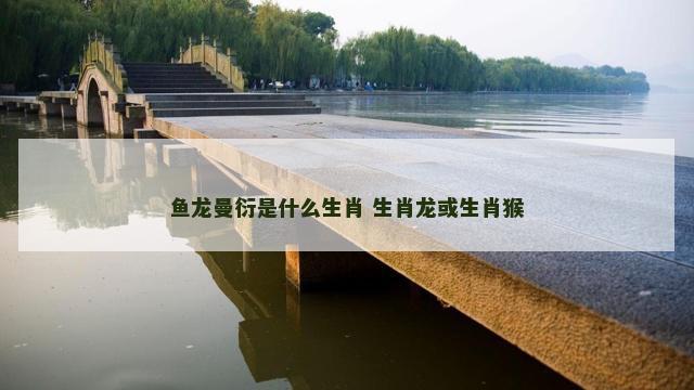 鱼龙曼衍是什么生肖 生肖龙或生肖猴