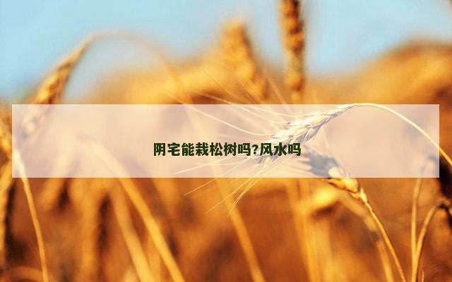 阴宅能栽松树吗?风水吗