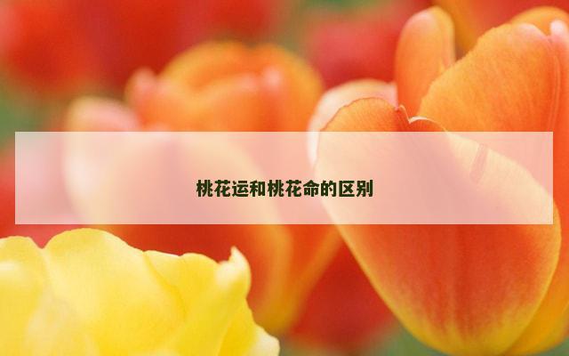 桃花运和桃花命的区别