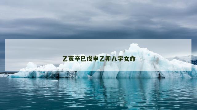乙亥辛巳戊申乙卯八字女命