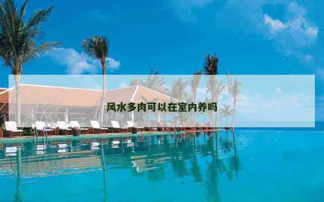风水多肉可以在室内养吗