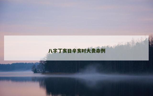 八字丁亥日辛亥时大贵命例