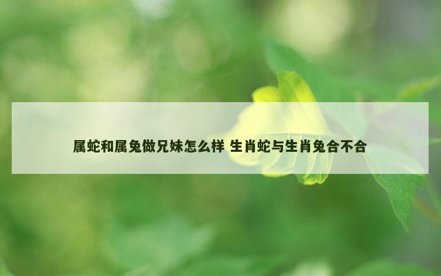 属蛇和属兔做兄妹怎么样 生肖蛇与生肖兔合不合