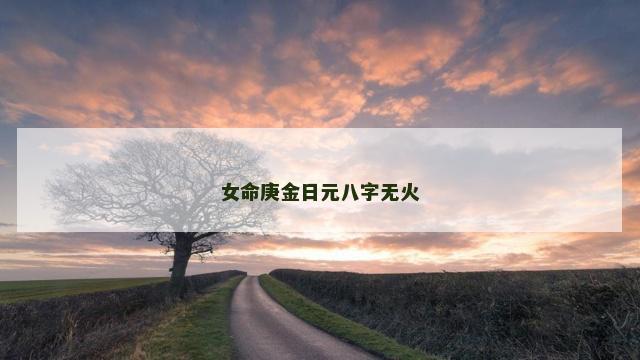 女命庚金日元八字无火