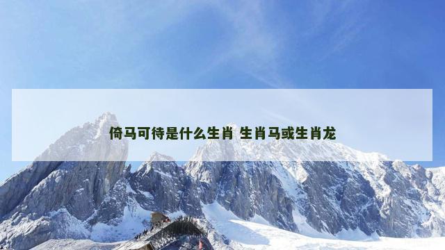 倚马可待是什么生肖 生肖马或生肖龙