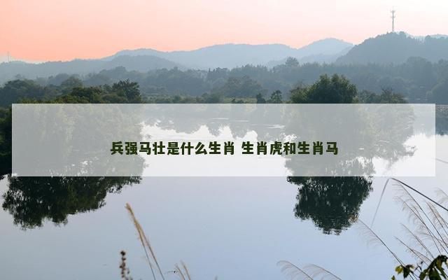 兵强马壮是什么生肖 生肖虎和生肖马