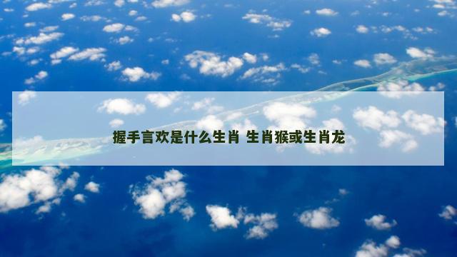 握手言欢是什么生肖 生肖猴或生肖龙