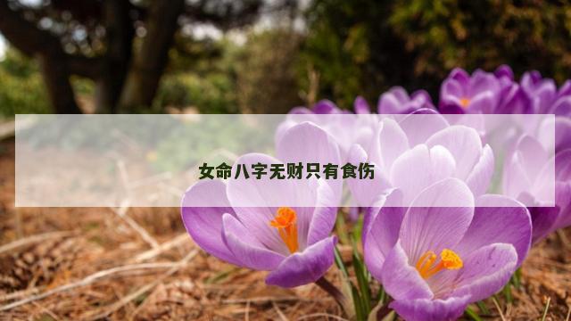 女命八字无财只有食伤